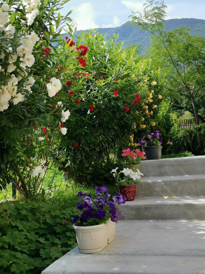 Guest House Vessyta Sapareva Banya Exterior photo