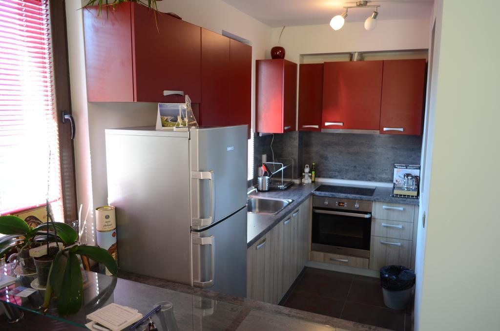 Guest House Vessyta Sapareva Banya Room photo